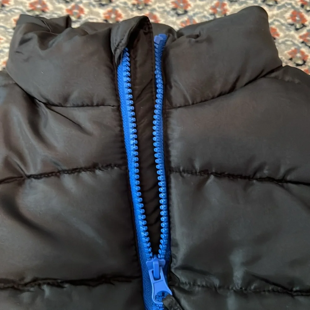 jumping beans nwt stylish